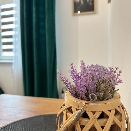 Apartament Zielony Kollataja Tomaszow Mazowiecki Bagian luar foto