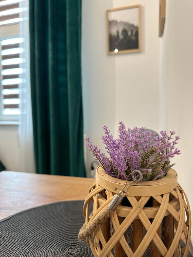Apartament Zielony Kollataja Tomaszow Mazowiecki Bagian luar foto